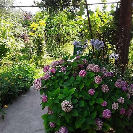 New Athos Zeleniy Dvorik Guest House المظهر الخارجي الصورة